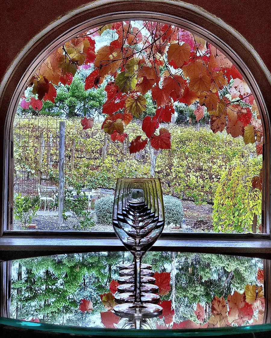 The antique arched window, framed by autumn vine leaves, with a wine glass on the sill